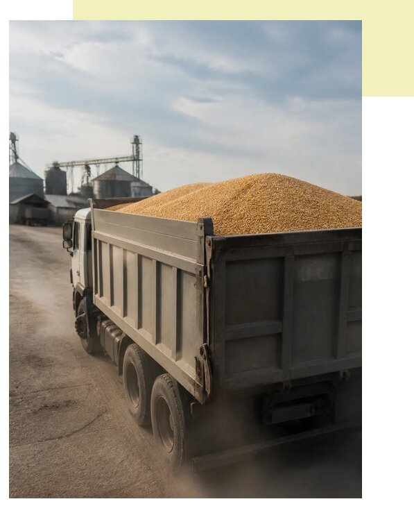Перевозка сельхозпродукции навалом в Белую Калитву по цене от 3111 р. | Агросервис-Бкл